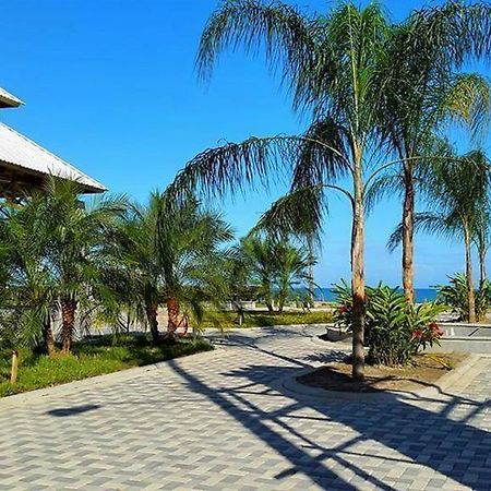 Uw Oasis Hotel La Ceiba Zewnętrze zdjęcie